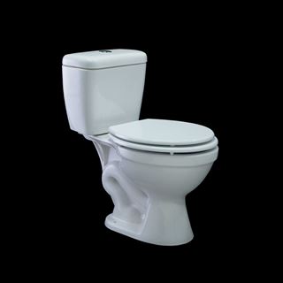 Imagen de Inodoro largo alpino salida 25 Blanco